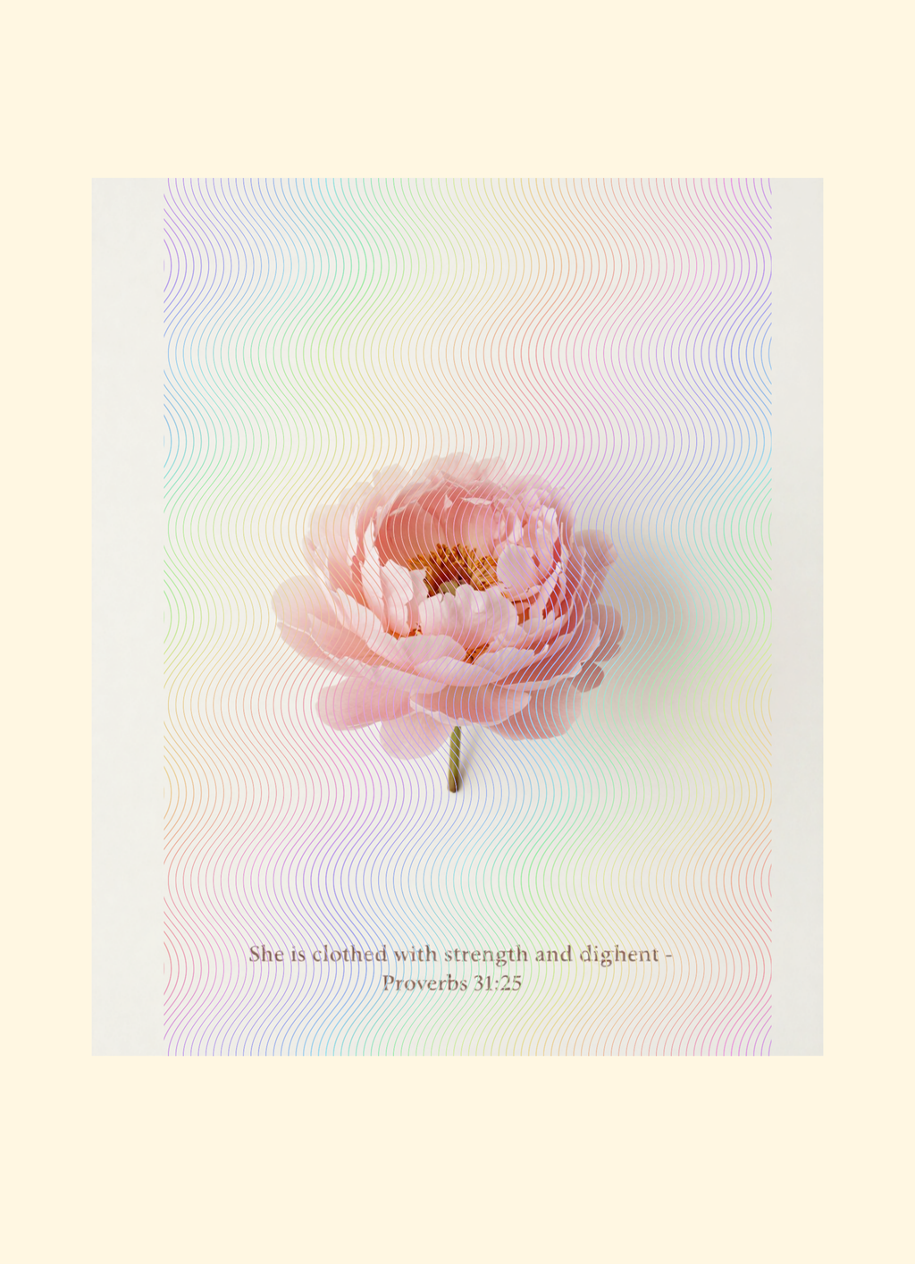 The Flower Garden Set